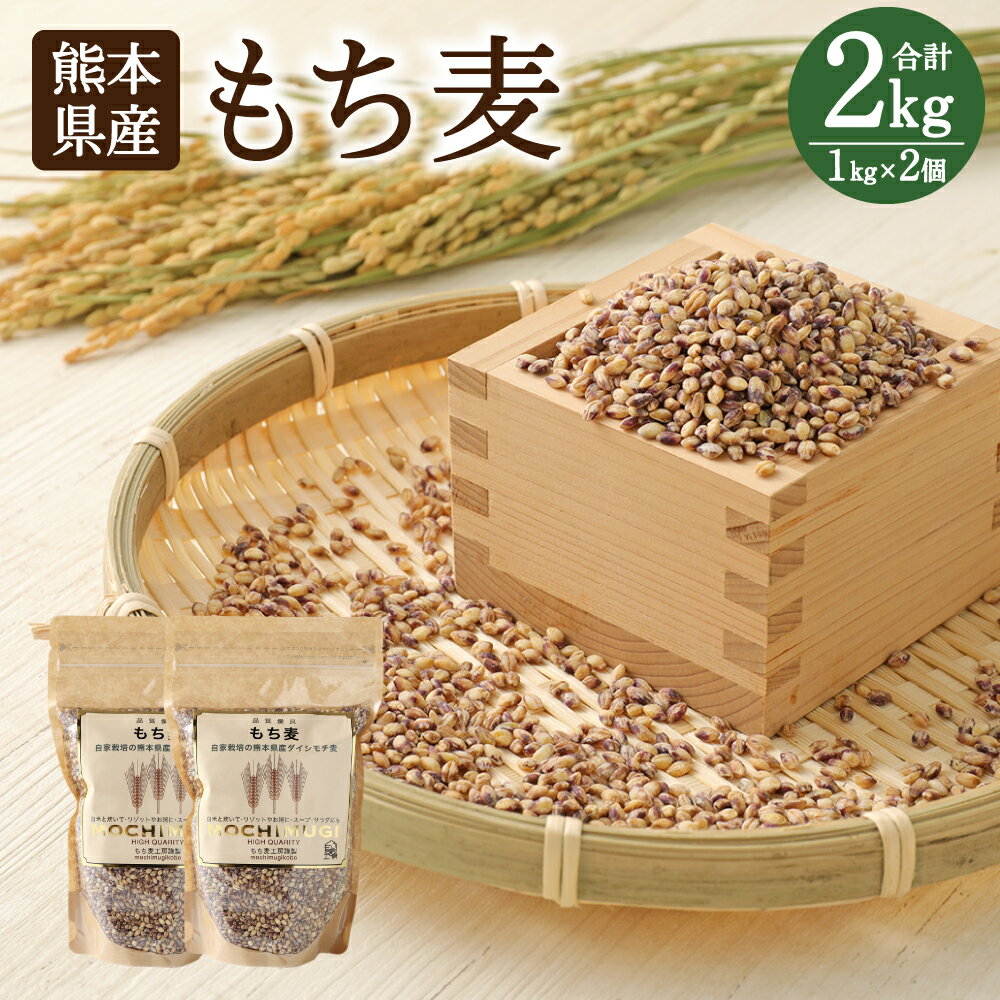 【ふるさと納税】もち麦 1kg×2個 計2kg セット 麦 