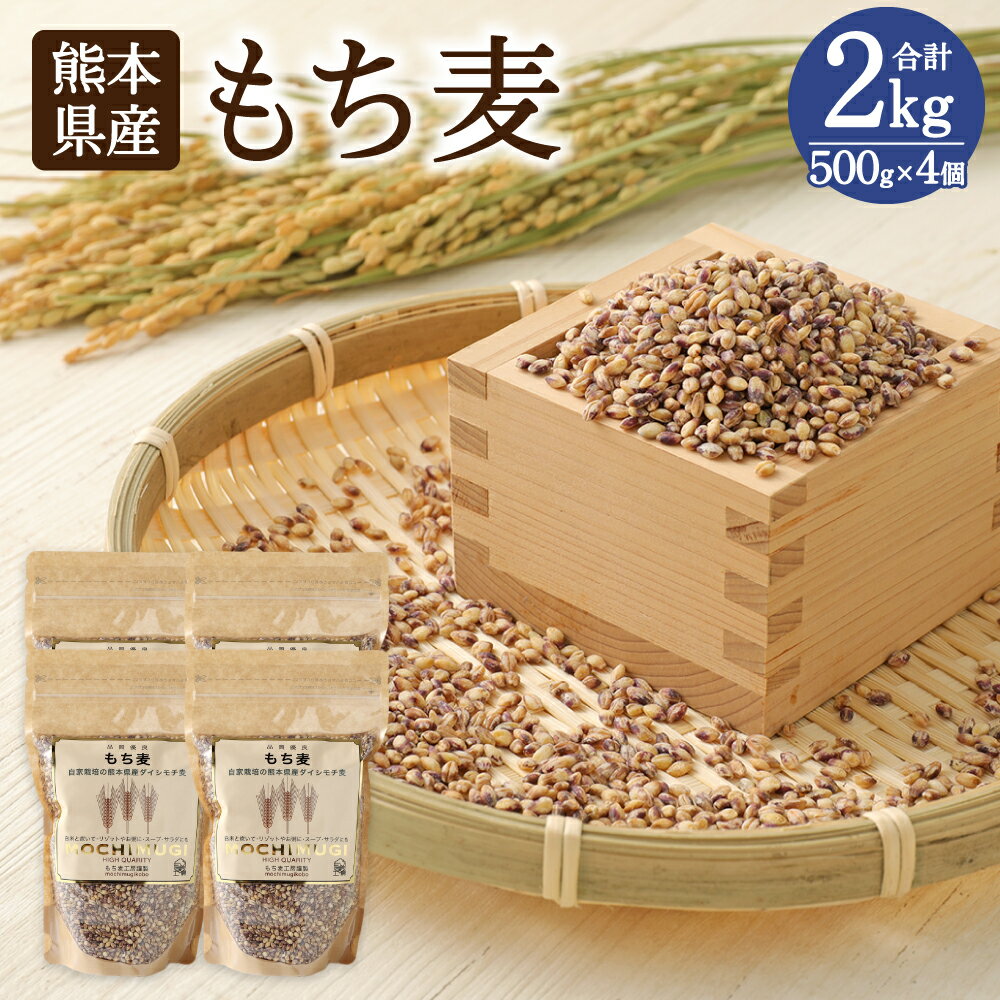 【ふるさと納税】もち麦 500g×4個 計2kg セット 麦