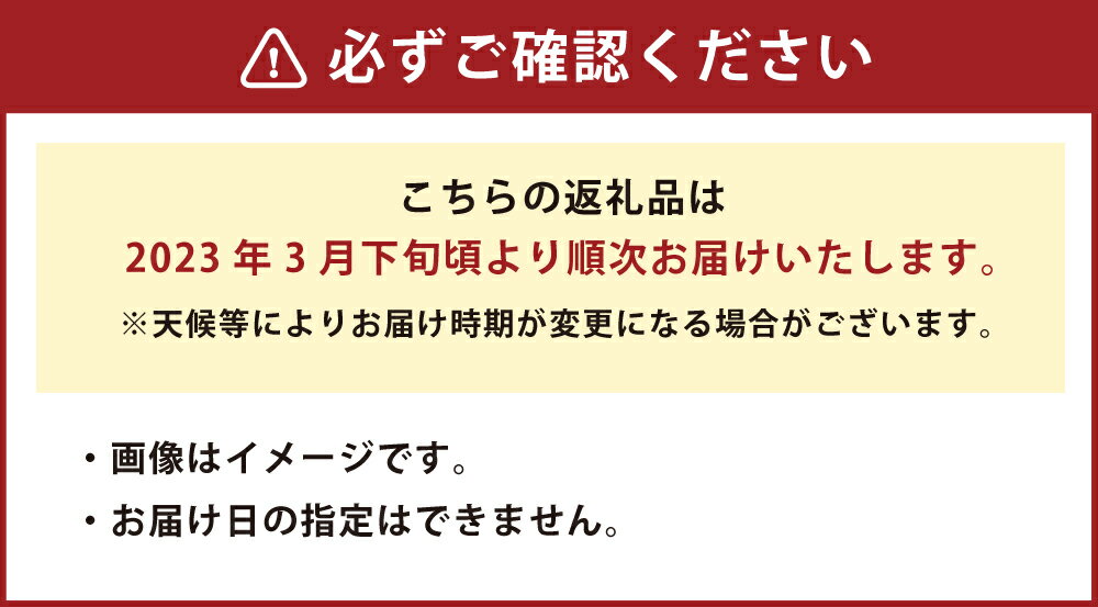 【ふるさと納税】熊本産 おにつか農園 こだわり 不知火 贈答用 3kg デコポン しらぬい 柑橘 果物 果実 果汁 フルーツ 熊本県産 水俣市産 送料無料【2023年3月下旬発送開始】