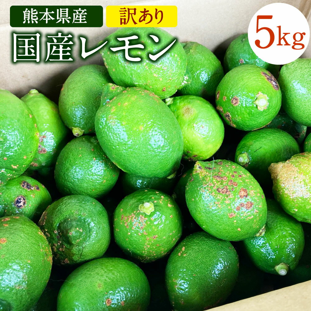 【ふるさと納税】国産レモン 訳あり 約5kg 県認証特別栽培 熊本県産 レモン れもん 果物 傷あり 檸檬 レモン果汁 フルーツ 防腐剤・ワックス不使用 ご家庭用 フードロス 料理 柑橘類 九州産 国産 送料無料