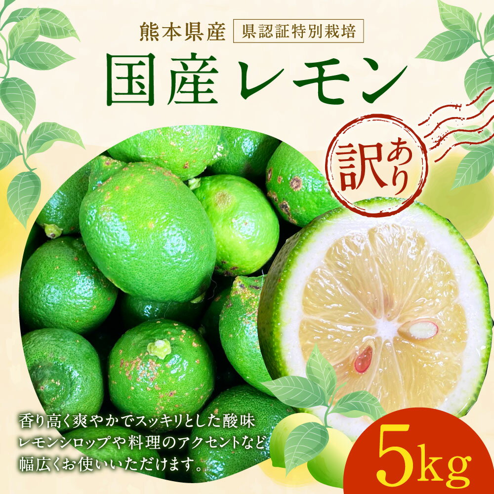 【ふるさと納税】国産レモン 訳あり 約5kg 県認証特別栽培 熊本県産 レモン れもん 果物 傷あり 檸檬 レモン果汁 フルーツ 防腐剤・ワックス不使用 ご家庭用 フードロス 料理 柑橘類 九州産 国産 送料無料