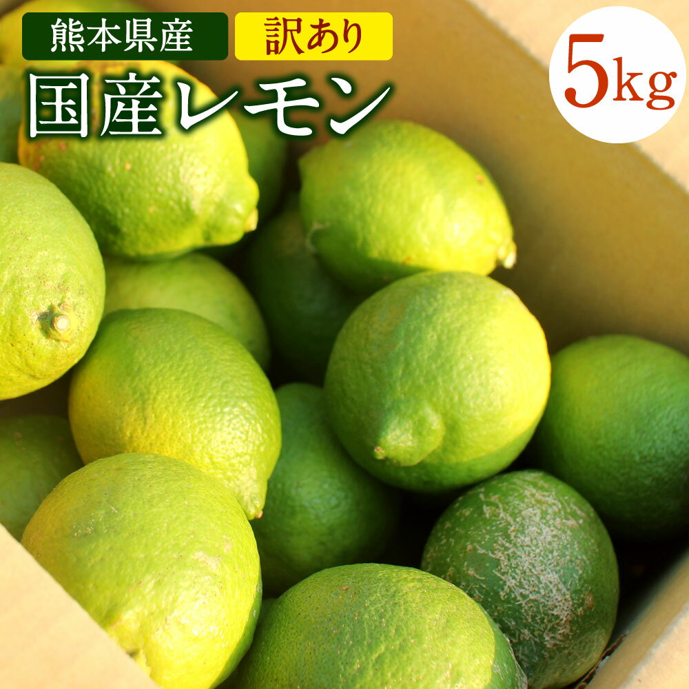 【ふるさと納税】国産レモン 訳あり 約5kg 県認証特別栽培 熊本県産 レモン れもん 檸檬 レモン果汁 ご家庭用 傷あり フードロス 料理 柑橘類 九州産 国...