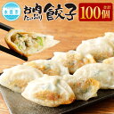 【ふるさと納税】お肉たっぷり 餃子 合計100個 (10個入×10パック) 合計約2kg 餃子のタレ付き 肉餃子 ギョウザ ギョーザ ぎょうざ 惣菜 おかず 中華 豚肉 真空パック 国産 冷凍 九州産 送料無料 1