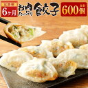 【ふるさと納税】【6ヶ月定期便】お肉たっぷり 餃子 合計600個 10個入×10パック×6回 合計約12kg 餃子のタレ付き 肉餃子 ギョウザ ギョーザ ぎょうざ 惣菜 おかず 中華 豚肉 真空パック 国産 九州産 冷凍 送料無料