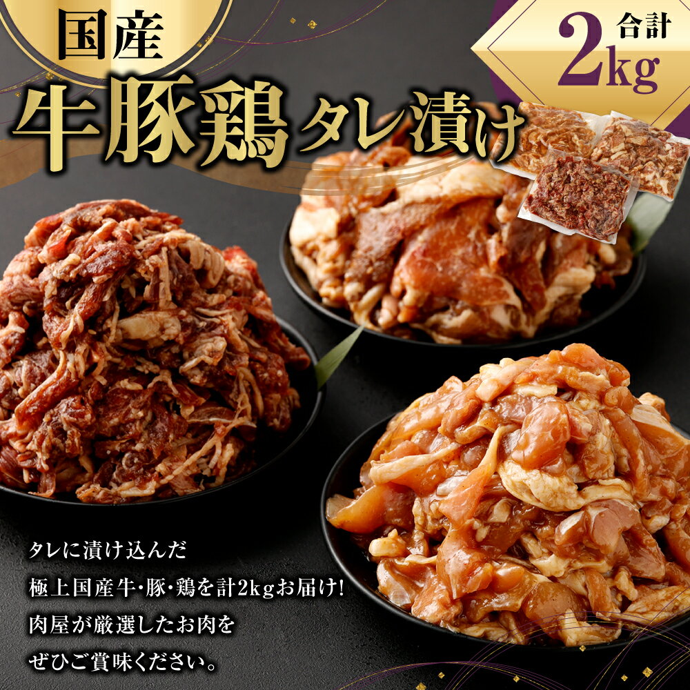 【ふるさと納税】国産牛豚鶏小間切れ 計2.0kg 牛肉500g×1袋 豚肉750g×1袋 鶏肉750g×1袋 牛肉 豚肉 鶏肉 小間切れ 小分け タレ 漬け 炒め物 焼くだけ お肉 国産 冷凍 送料無料