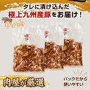 熊本県水俣市の画像3
