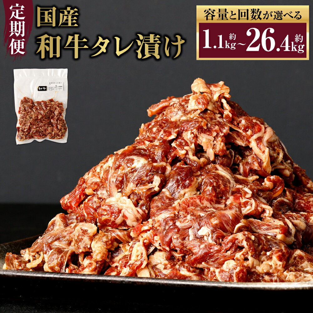 定期便 国産和牛タレ漬け [容量と回数が選べる] 550g 1.1kg 1.65kg 2.2kg 3回 6回 12回 牛肉 小間切れ 小分け タレ 漬け 炒め物 焼くだけ 味付 肉 お肉 国産 九州 冷凍 送料無料