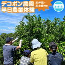 【ふるさと納税】デコポン農園農業体験 半日 お弁当+お土産付き 大人2名 小中高生同伴3名まで無料 午前中 収穫 花摘み 摘果 剪定 草刈り 作業 体験 不知火...