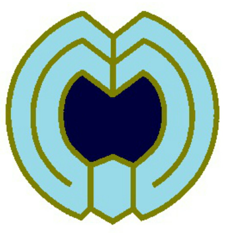 Shop icon