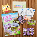 【ふるさと納税】玉名の魅力が満載!!みんなで遊べる「たまなカルタ」