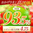 熊本県玉名市の画像2