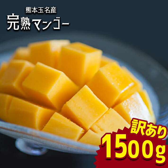 【ふるさと納税】 訳あり 完熟 マンゴー 約 1500g 家庭用 傷あり 果物 フルーツ 旬 夏 自社農園 生産者直送 産地直送 九州 熊本 玉名 送料無料のサムネイル