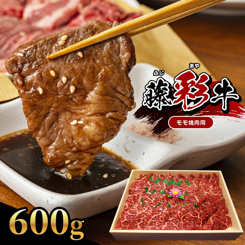 [くまもと黒毛和牛] 藤彩牛 モモ 焼肉用 600g 肉 牛 牛肉 熊本 玉名 送料無料