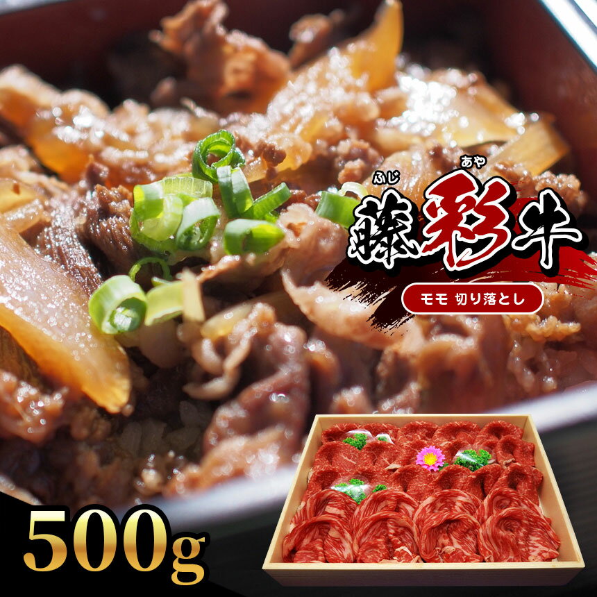 [くまもと黒毛和牛] 藤彩牛 モモ 切り落とし 500g 肉 牛 牛肉 熊本 玉名 送料無料