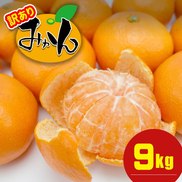 訳あり 熊本県産 温州みかん 約 9kg +約 0.5kg (補償分) | 果物 くだもの フルーツ 柑橘 柑橘類 みかん 温州 家庭用 9キロ 大量 みかん 玉名 熊本 送料無料