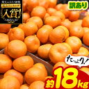 【ふるさと納税】 訳あり 温州みかん 18kg 家庭用 18キロ 大量 みかん 玉名 熊本 送料無料 不揃い 傷 大小混合 自宅用