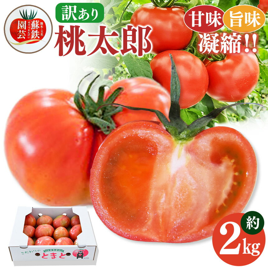 【ふるさと納税】ご家庭用 トマト 桃太郎 約 2kg＜1月〜6月で発送＞