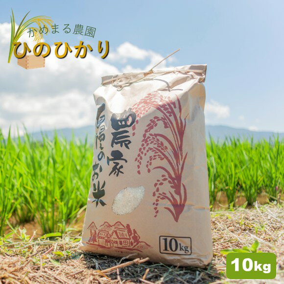 米 10キロ 10kg ヒノヒカリ かめまる農園 ひのひかり 生産者直送 玉名 熊本 送料無料