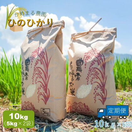 【定期便6回】かめまる農園の「ひのひかり」10kg×6回 | 米 単一原料米 玉名 熊本