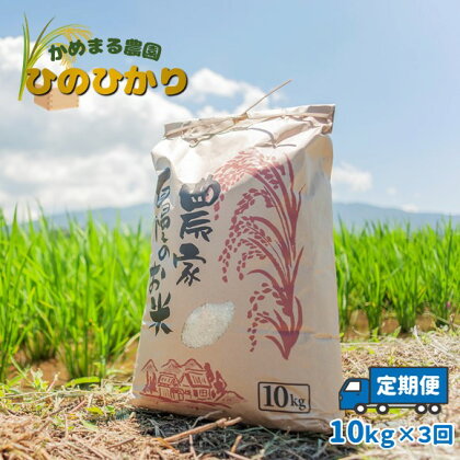 【定期便3回】 かめまる農園の「ひのひかり」10kg×3回 | 米 単一原料米 玉名 熊本
