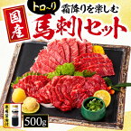 【ふるさと納税】 馬刺し 国産 サシが決め手の「トロ〜り馬刺しセット」 約500g