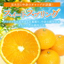 熊本県玉名市の画像2