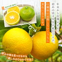 熊本県玉名市の画像3