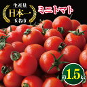 17位! 口コミ数「0件」評価「0」ミニトマト 生産量 日本一 玉名市 !！ ミニトマト 約 1.5kg 野菜 トマト プチトマト 熊本 玉名 生産者直送 産地直送