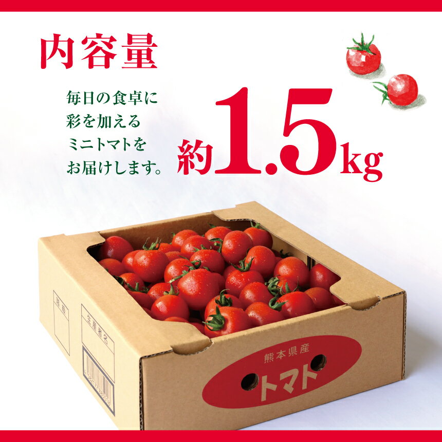 【ふるさと納税】ミニトマト 生産量 日本一 玉名市 !！ ミニトマト 約 1.5kg 野菜 トマト プチトマト 熊本 玉名 生産者直送 産地直送