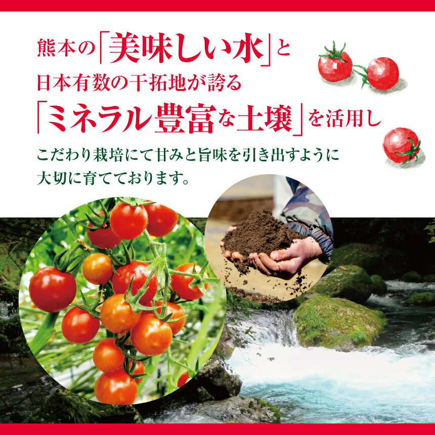 熊本県玉名市の画像3