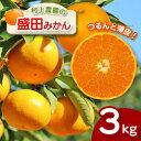 【ふるさと納税】みかん 盛田みかん 3kg 盛田温州 村上農園 数量限定 大小混合 産地直送 生産者直送 希少品種 減農薬 薄皮 玉名 熊本 送料無料