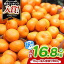 【ふるさと納税】 訳あり 熊本県産 温州 みかん 約 16.8kg (16kg+傷み補償分800g) | 果物 くだもの フルーツ 柑橘 柑橘類 みかん 温州 家庭用 18キロ 大量 みかん 玉名 熊本 送料無料 不揃い 傷 大小混合 自宅用