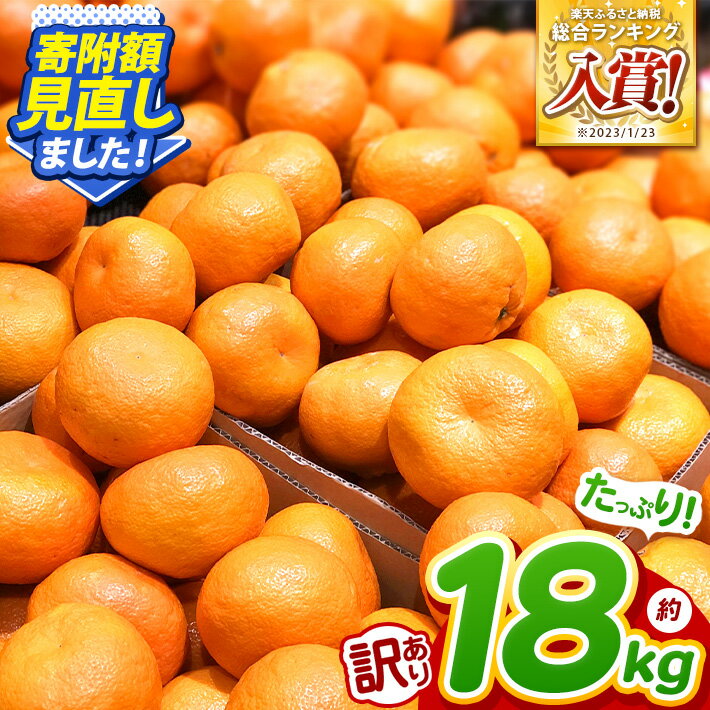 【ふるさと納税】 訳あり 温州みか