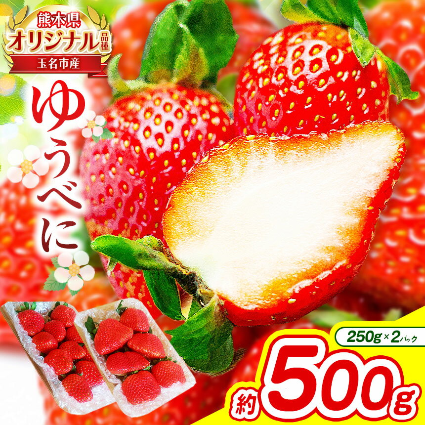 【ふるさと納税】熊本 玉名産 いちご ゆうべに 約500g ( 250g×2パック ) | 果物 くだもの フルーツ イチゴ 苺 熊本県 玉名市 産地直送 生産者直送 2パック 玉名 熊本 送料無料