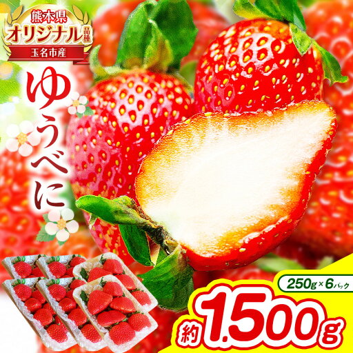【ふるさと納税】熊本 玉名産 いちご ゆうべに 約1.5kg ( 250g×6パック ) | 果物 くだもの フルーツ イチゴ 苺 熊本県 玉名市 産地直送 生産者直送 4パック 玉名 熊本 送料無料 【ふるさと納税】熊本 玉名産 いちご ゆうべに 約1.5kg ( 250g×6パック ) | 果物 くだもの フルーツ イチゴ 苺 熊本県 玉名市 産地直送 生産者直送 4パック 玉名 熊本 送料無料