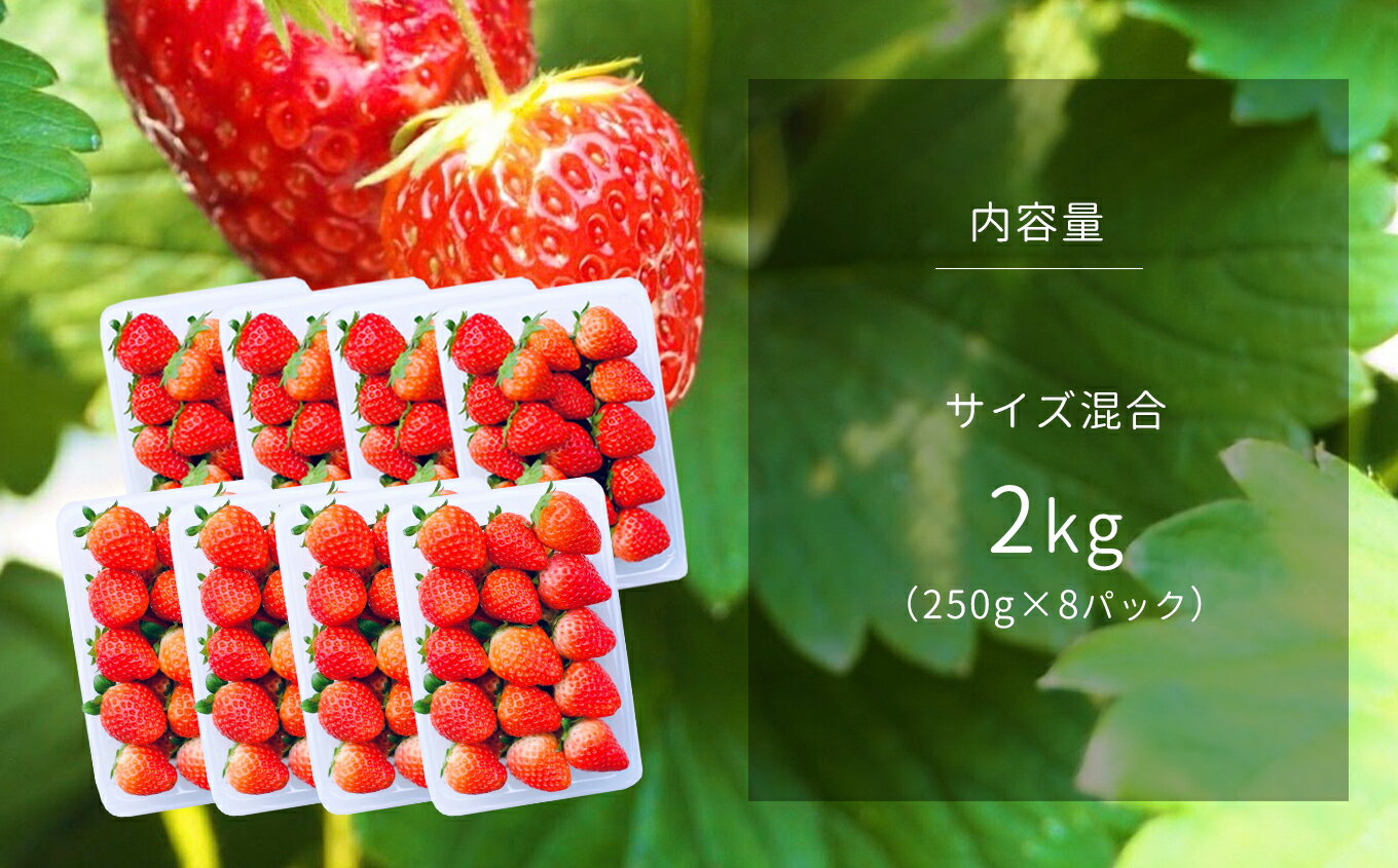 熊本県玉名市の画像2