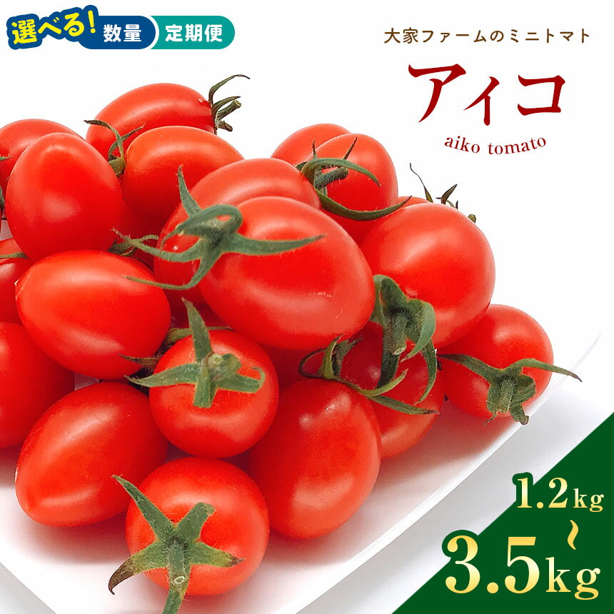 【ふるさと納税】ミニトマト アイコ 1.2kg 2kg 3.5kg 1回 2回 3回 定期 | 玉名 熊本