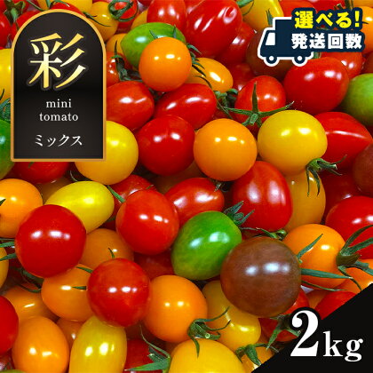 カラフル ミニトマト 2kg 1回 定期 2回 3回 4回 5回 トマト カラートマト | 玉名 熊本