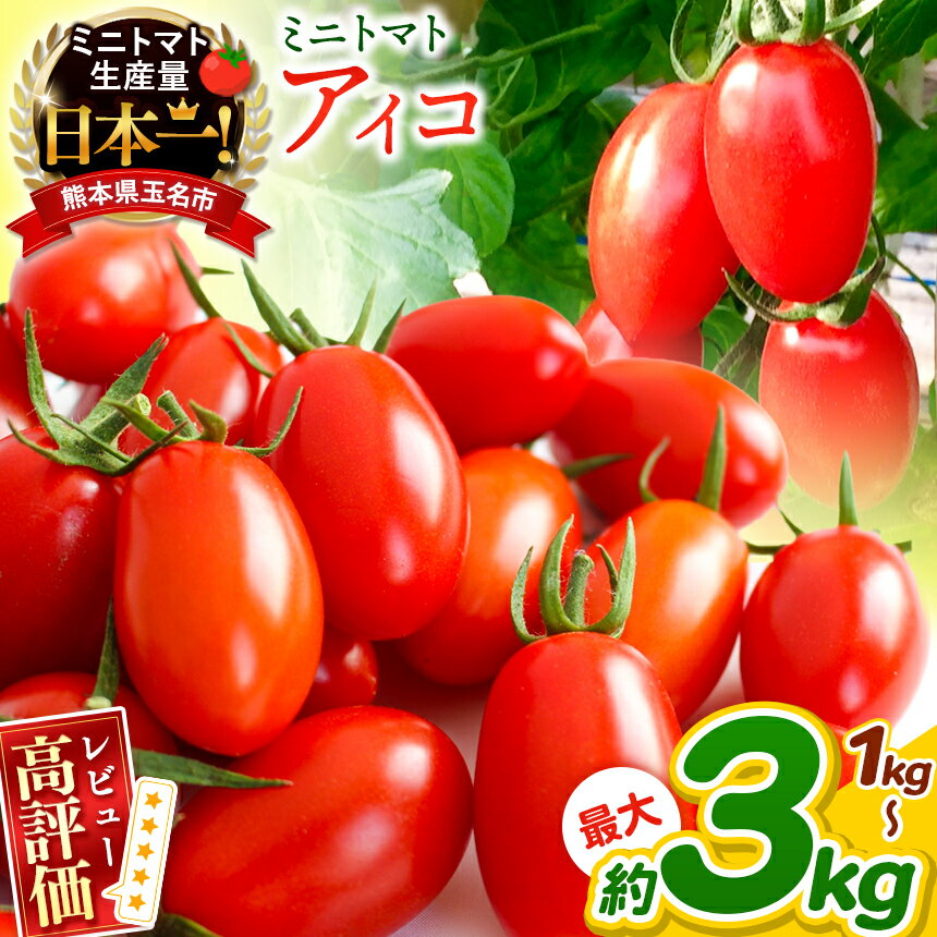 1位! 口コミ数「0件」評価「0」ミニトマト アイコ 約 1kg 2kg 3kg 選べる トマト 熊本 サザキ農園 野菜 生産量 日本一 玉名市 !! プラム型 サラダ 野菜･･･ 