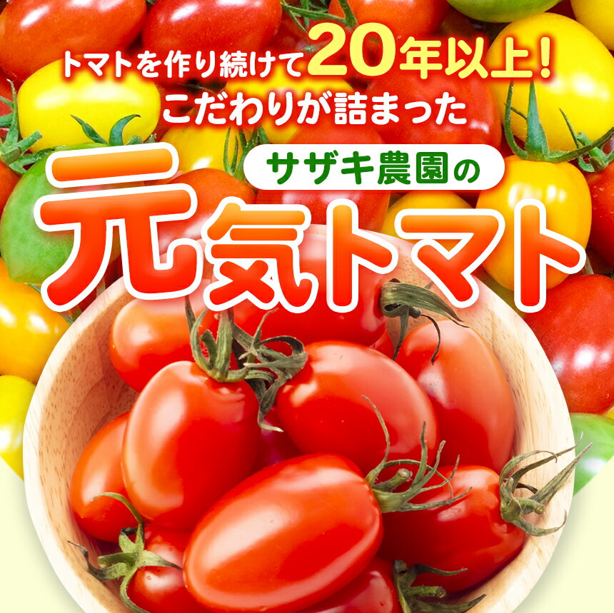 【ふるさと納税】ミニトマト アイコ 約 1kg 2kg 3kg 選べる トマト 熊本 サザキ農園 野菜 生産量 日本一 玉名市 !! プラム型 サラダ 野菜 産地直送 生産者直送 熊本 玉名 送料無料