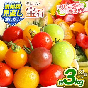 【ふるさと納税】ミニトマト 生産量 日本一 玉名市 !! カラフル ミニトマト 選べる 約2kg or 約3kg 1回 or 2回 or 3回 or 4回 or 5回 (ミックス) サザキ農園 | 野菜 トマト ミニトマト 熊本県 玉名市 定期便