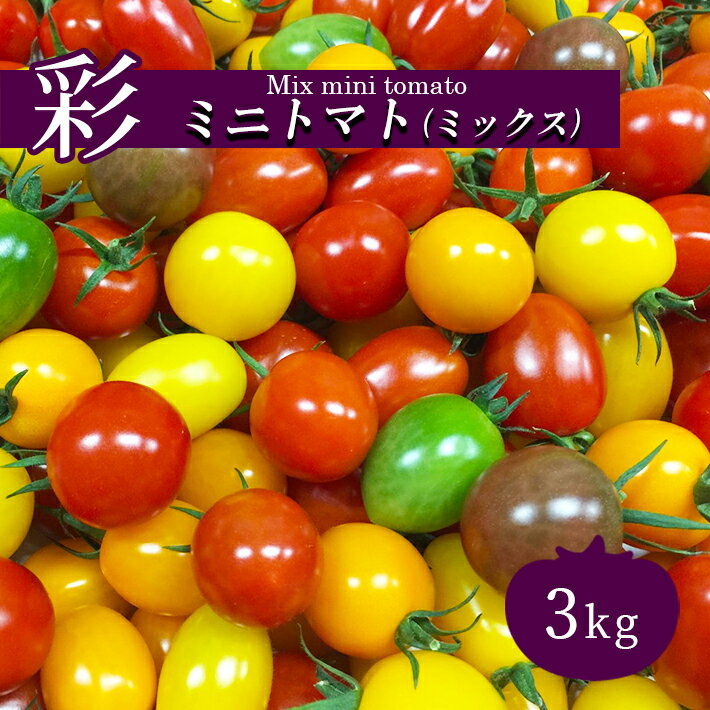 20位! 口コミ数「1件」評価「2」トマト ミニトマト 3kg カラートマト | 玉名 熊本 トマト とまと