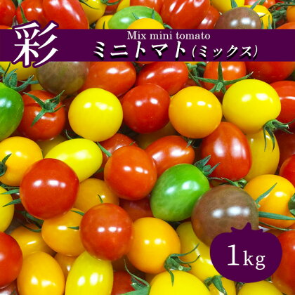 ミニトマト 1kg カラートマト アイコ とまと 1キロ 6000円 トマト 野菜 産地直送 生産者直送 熊本 玉名 送料無料