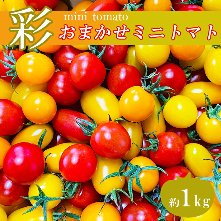 4位! 口コミ数「0件」評価「0」 お楽しみ ミニトマト 1kg トマト 丸型 プラム型 カラフル サラダ 野菜 産地直送 生産者直送 熊本 玉名 送料無料