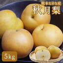 【ふるさと納税】くまもと玉名産梨 秋月(5kg)
