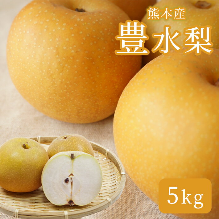 【ふるさと納税】 豊水 5kg 梨 フルーツ 果物 くまもと