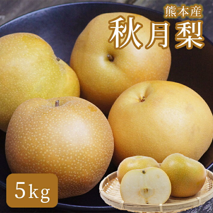 16位! 口コミ数「1件」評価「4」梨 あきづき 秋月 5キロ 5kg フルーツ 秋 旬 果物 玉名 熊本 送料無料