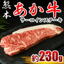 【ふるさと納税】牛肉 ステーキ あか牛 サーロインステーキ 230g×1枚 冷凍 熊本 送料無料