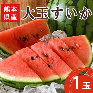 【ふるさと納税】 大玉 スイカ ( 1玉 ) 赤色 熊本県 すいか 果物 フルーツ 西瓜 くまもと産 甘い