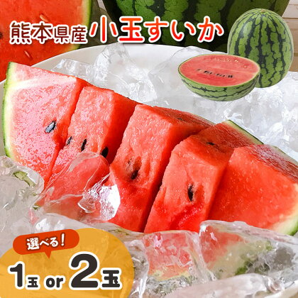 小玉 スイカ 1玉 or 2玉 西瓜 赤色 熊本県 すいか 果物 フルーツ 薄皮で甘い 夏の果物 熊本県産 期間限定 産地直送 送料無料